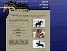 Tablet Screenshot of borninastable.com